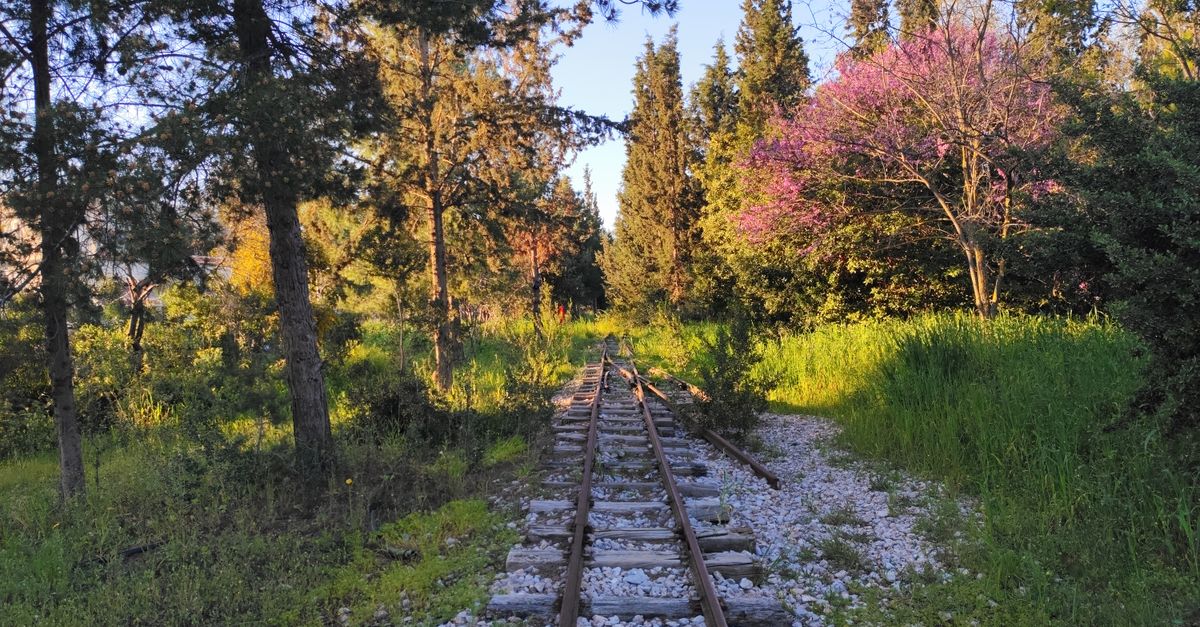 Railway tracks surrounded by vibrant greenery and trees in a forest setting during spring.